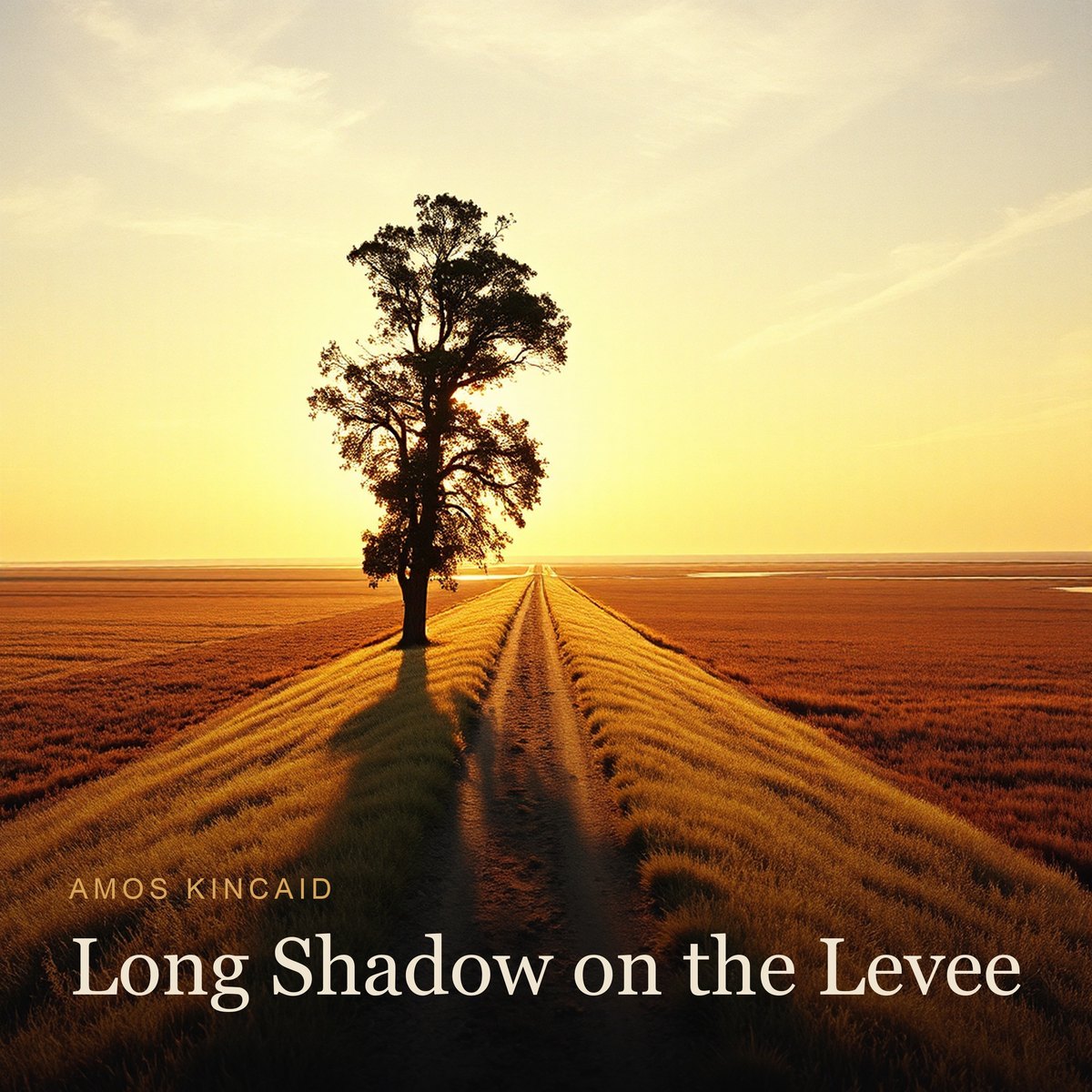 Long Shadow on the Levee album cover