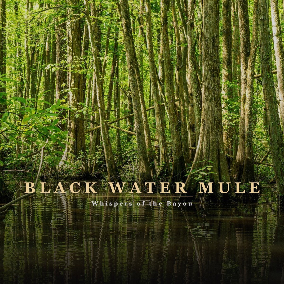 Whispers of the Bayou album cover