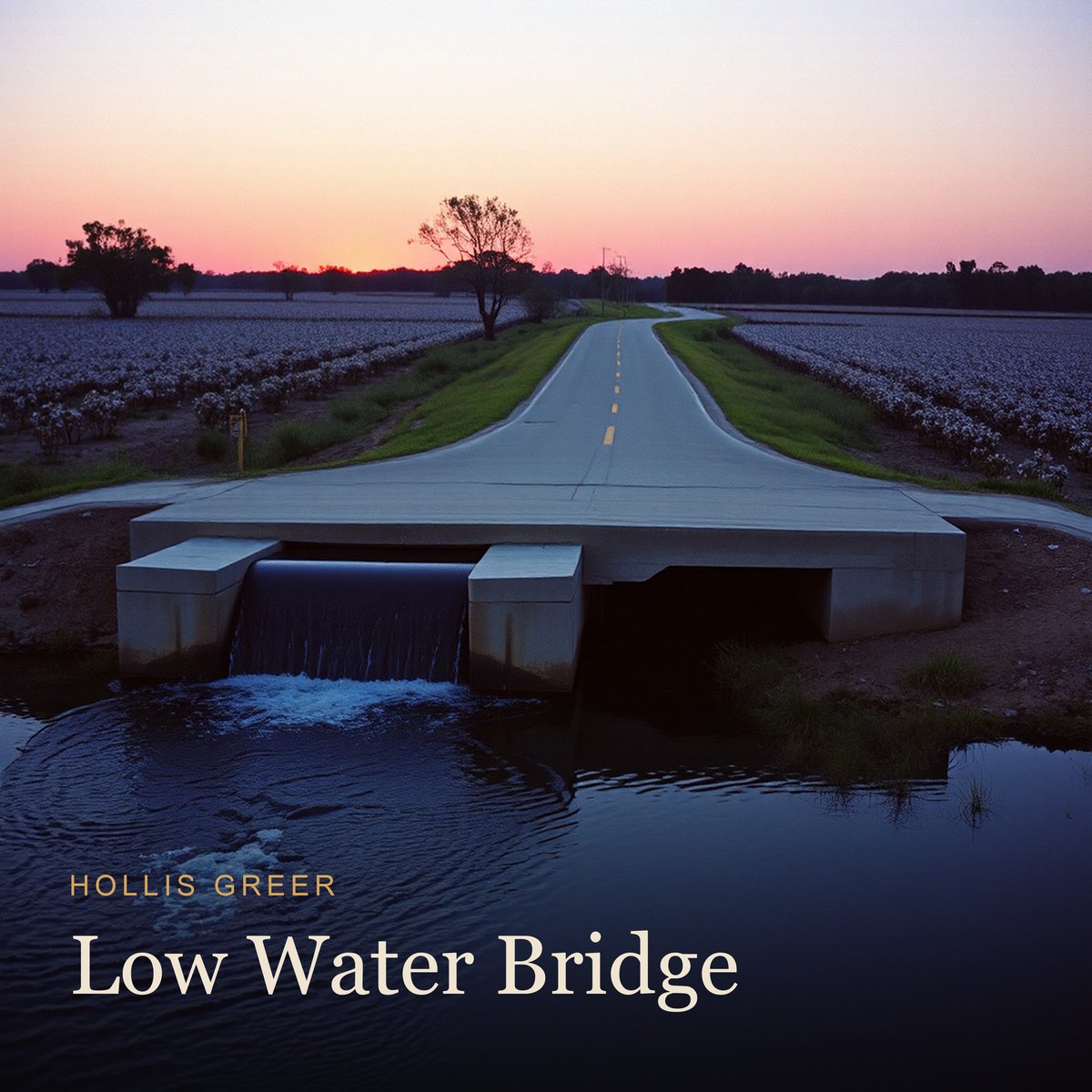 Low Water Bridge album cover
