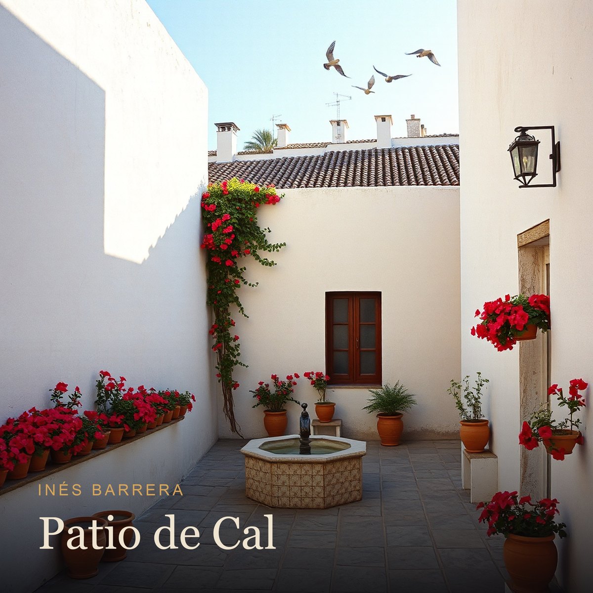 Patio de Cal album cover