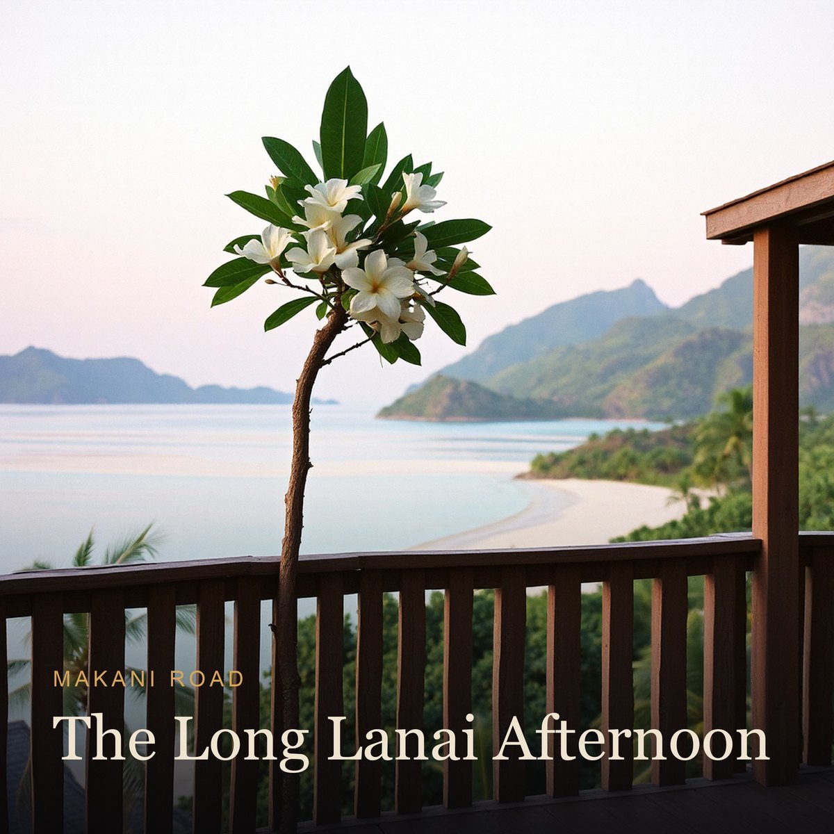 The Long Lanai Afternoon album cover