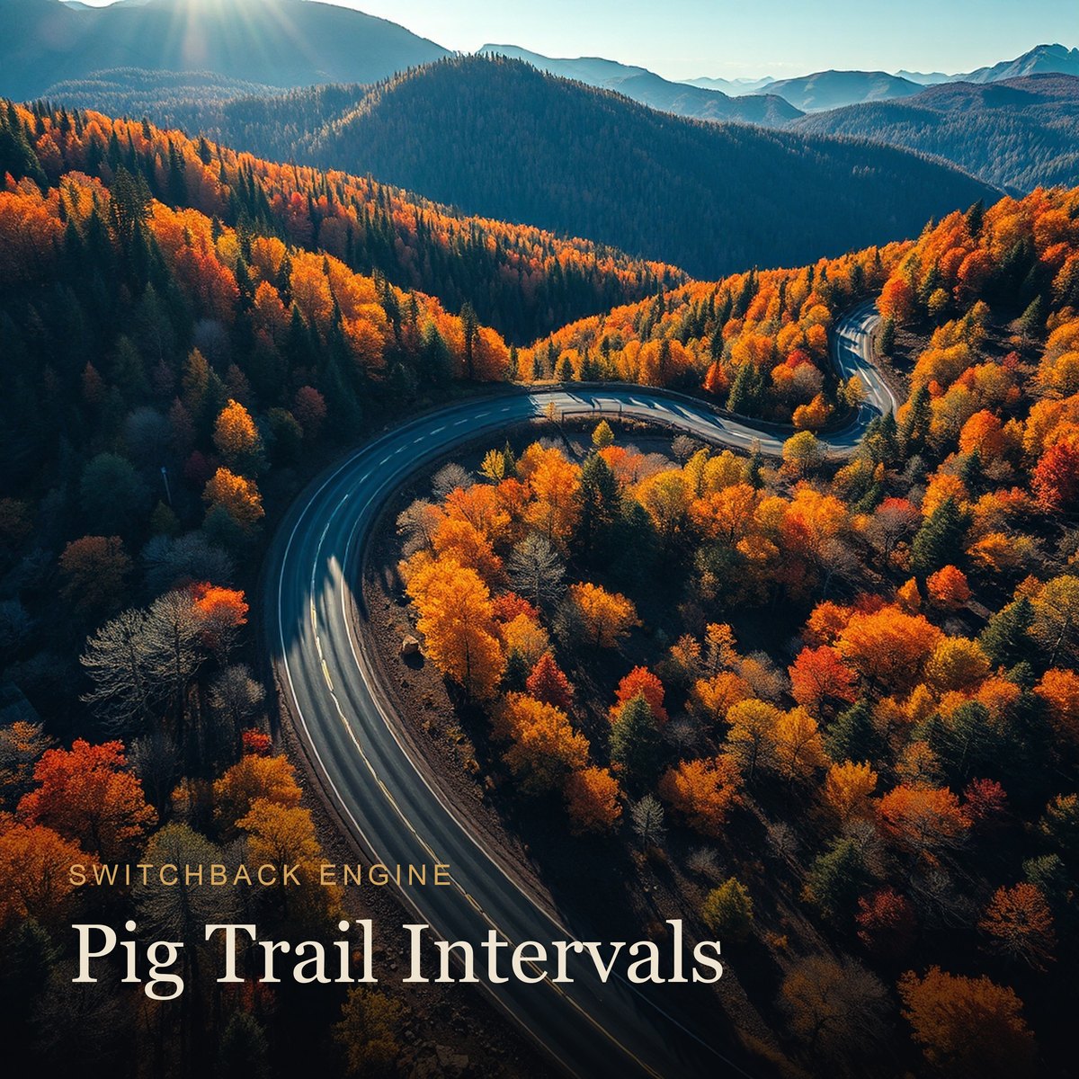 Pig Trail Intervals album cover