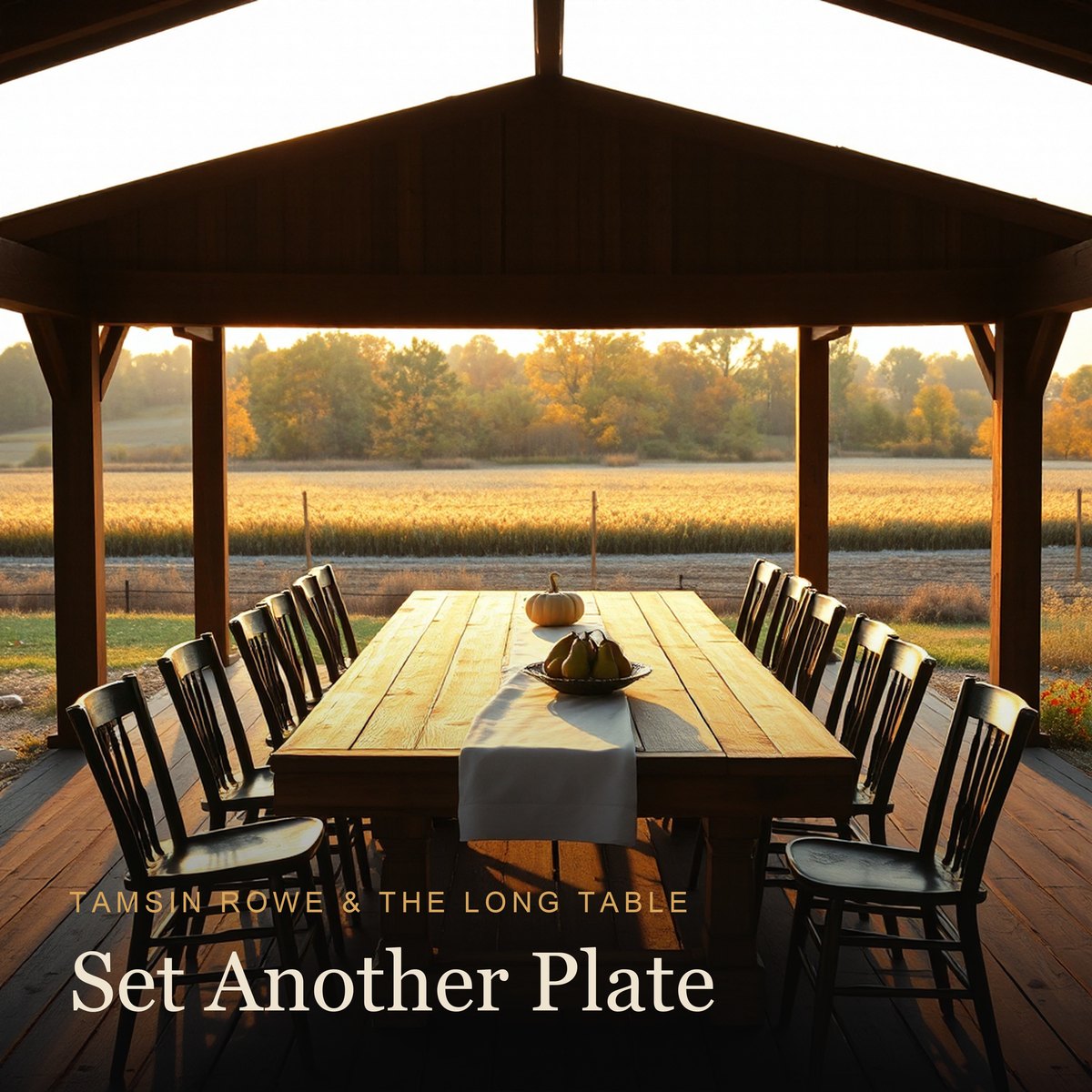 Set Another Plate album cover